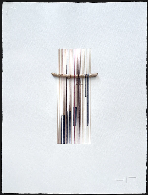 Vejiga Vibratoria — artwork