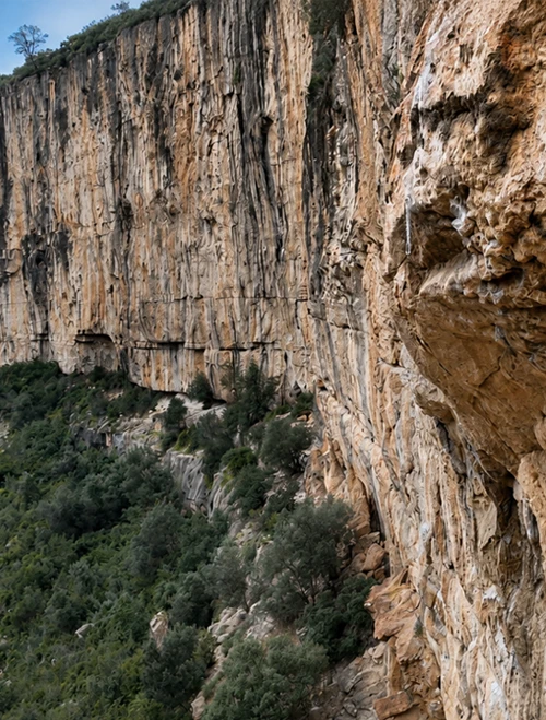 Vejiga Vibratoria — reference photo of the climbing route